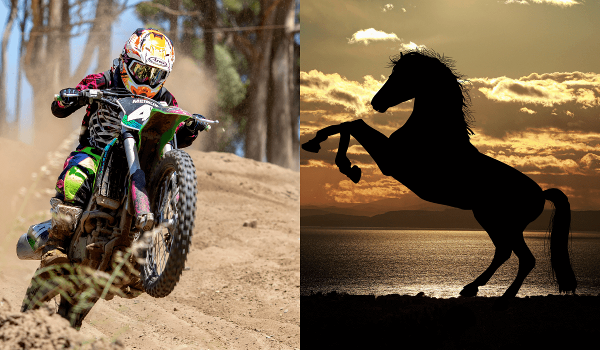 Torque vs Horsepower in Motorcycle